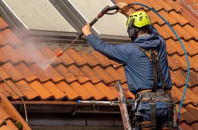 Démoussage et hydrofuge de toiture à la Férée